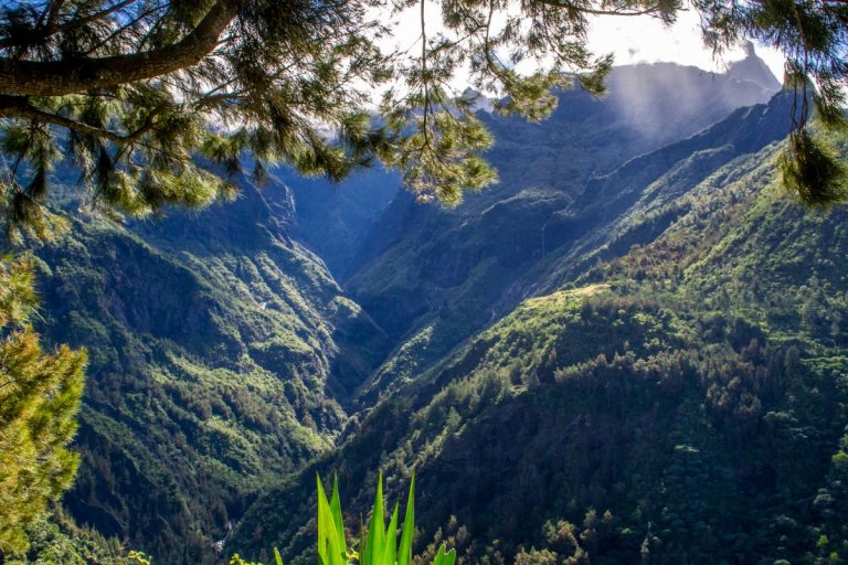 Maurice ou Réunion