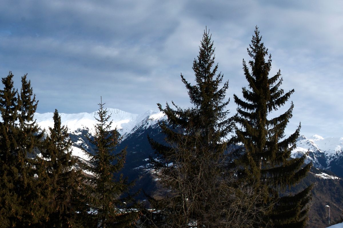 Hôtel de luxe à Courchevel