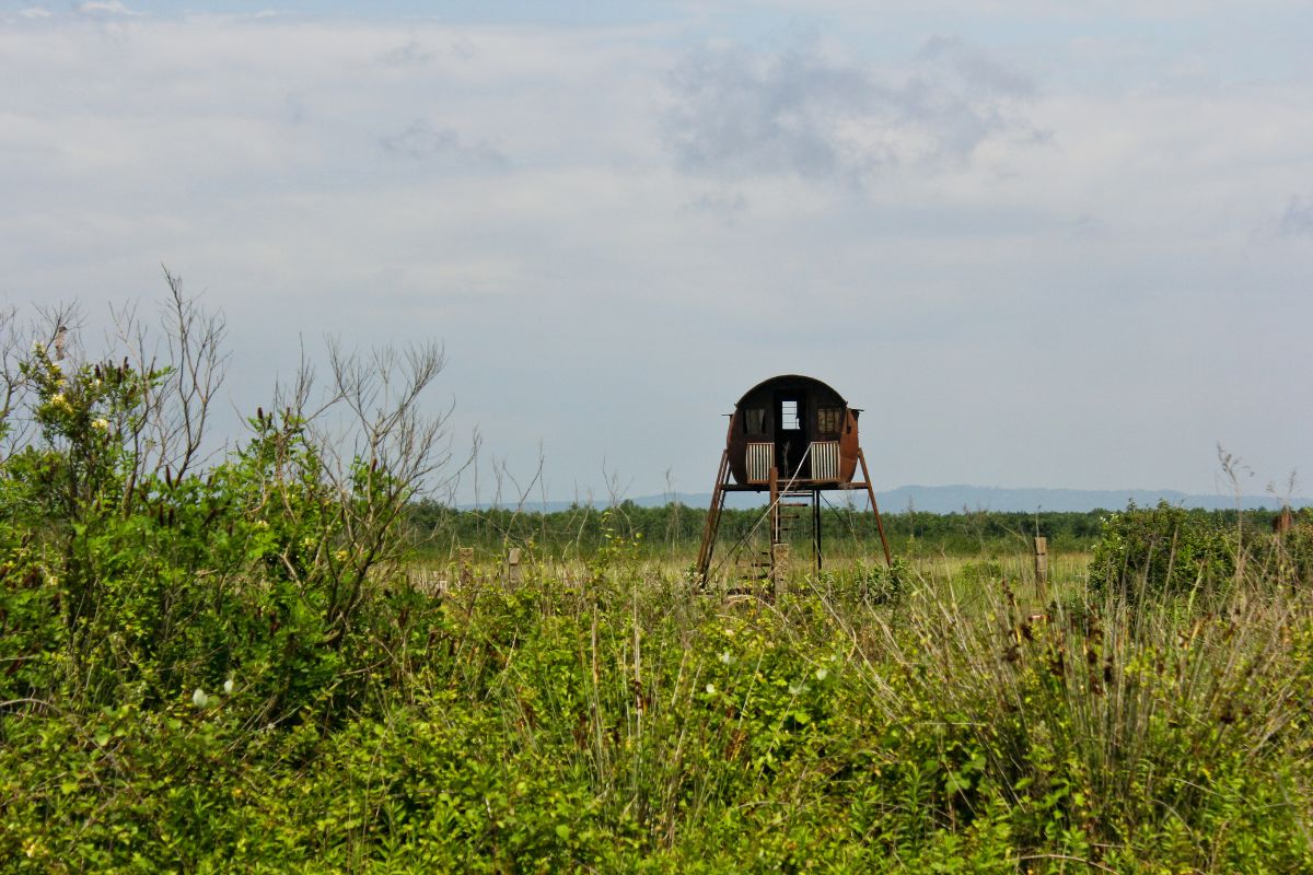 Paysages de Géorgie