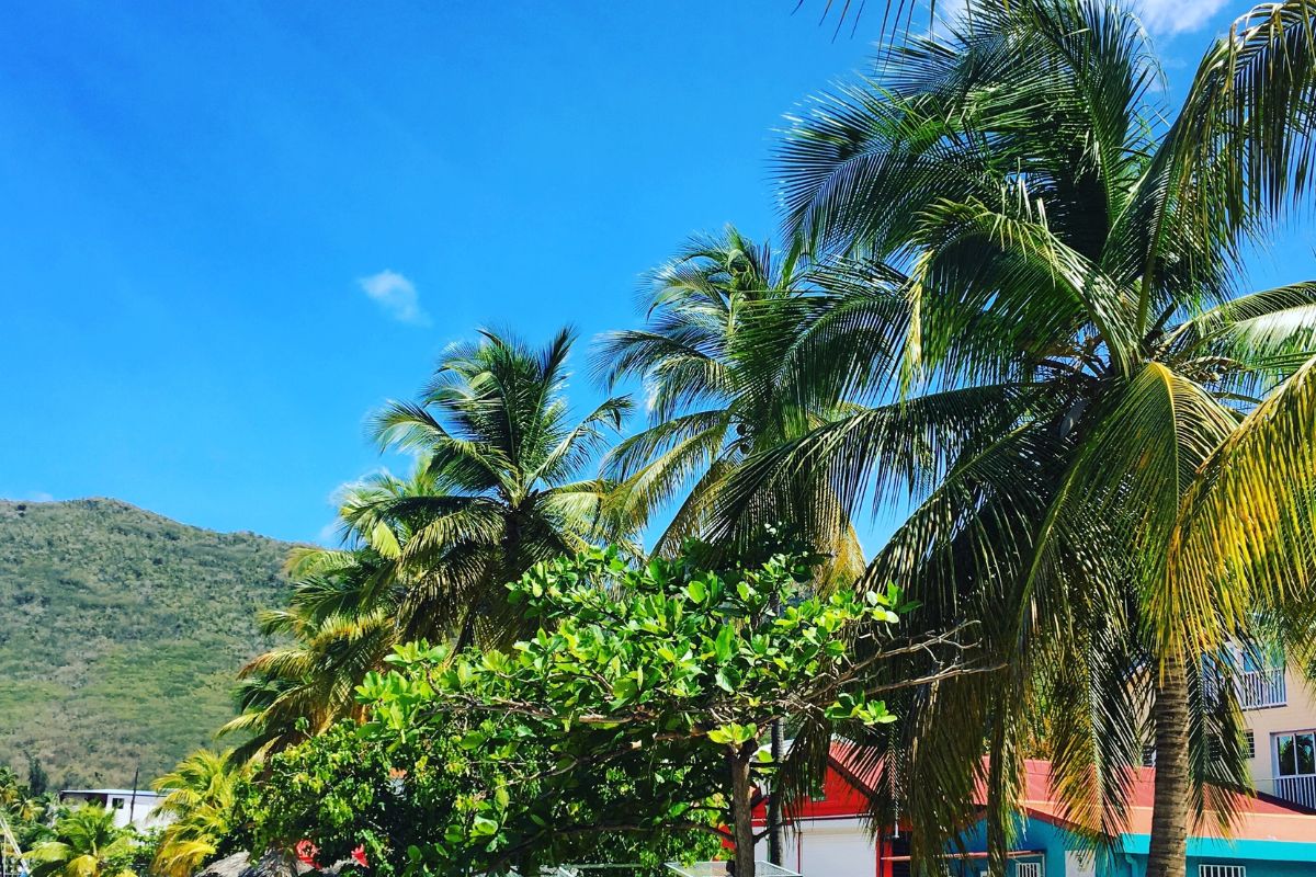 Hôtel pied dans l'eau en martinique