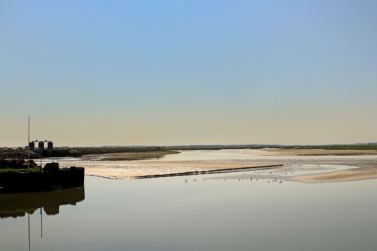 Visiter la baie de somme en 3 jours