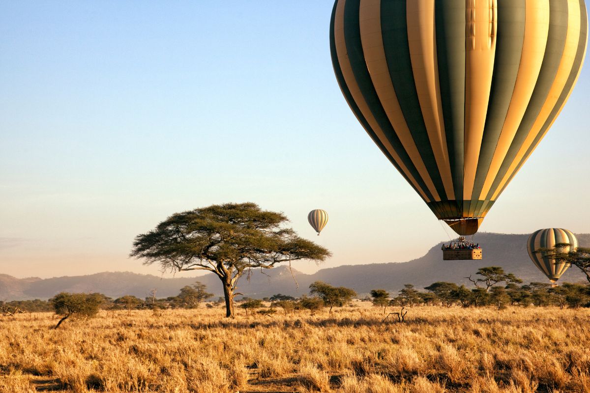 Namibie ou tanzanie