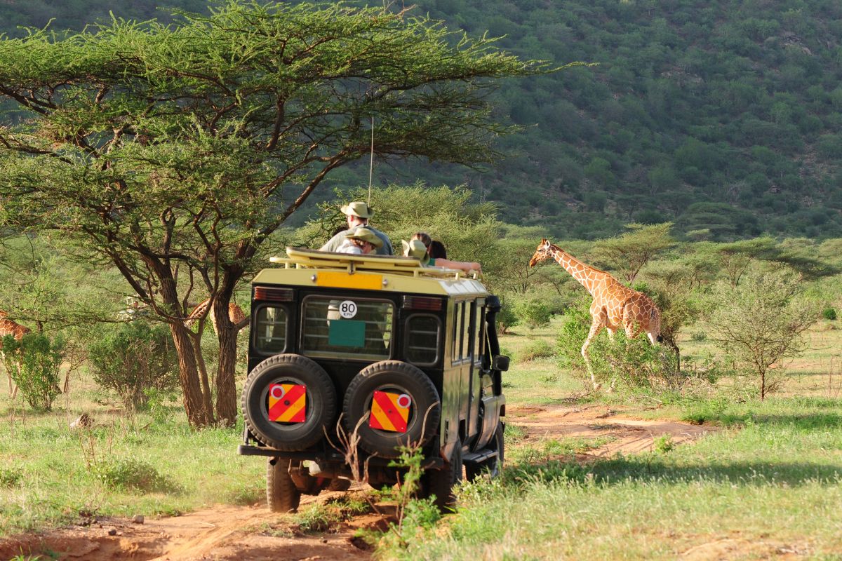 Safari Kenya Prix