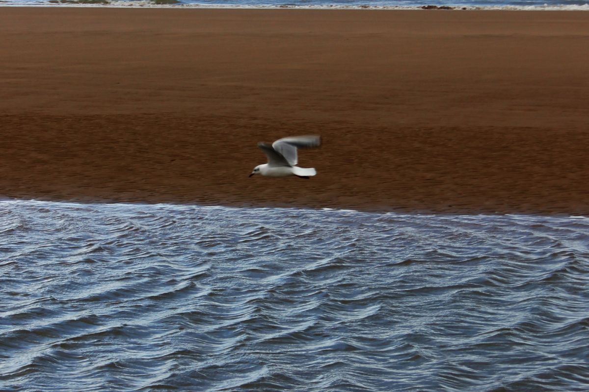 Loger pour visiter les plages du débarquement