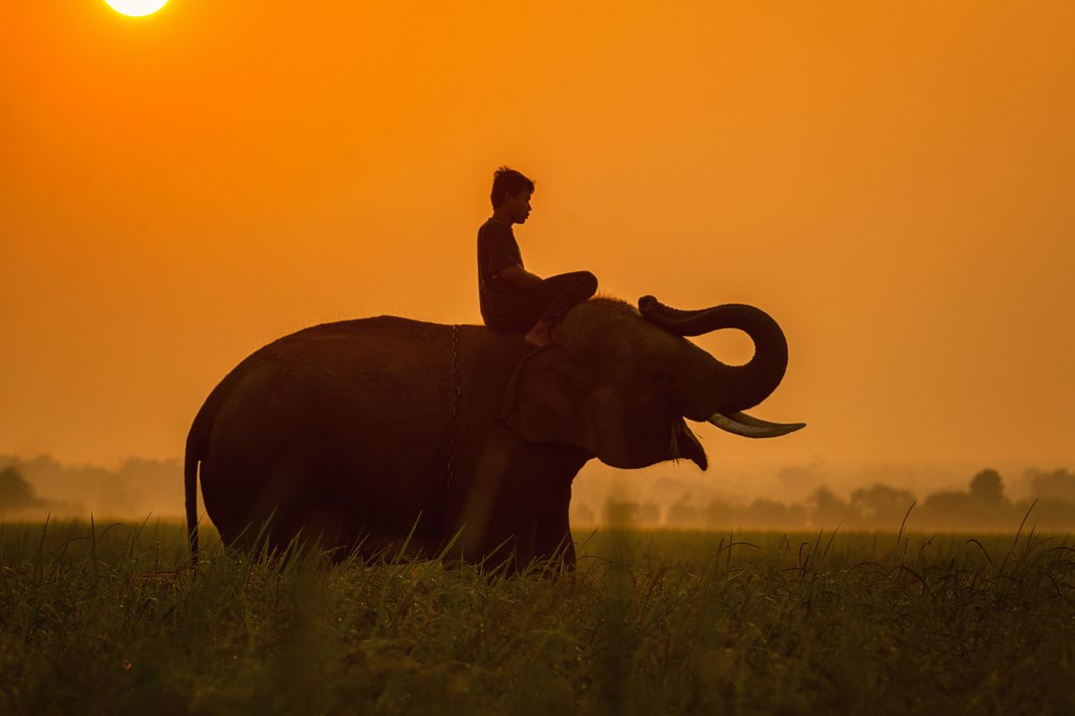 Voyage cambodge prix