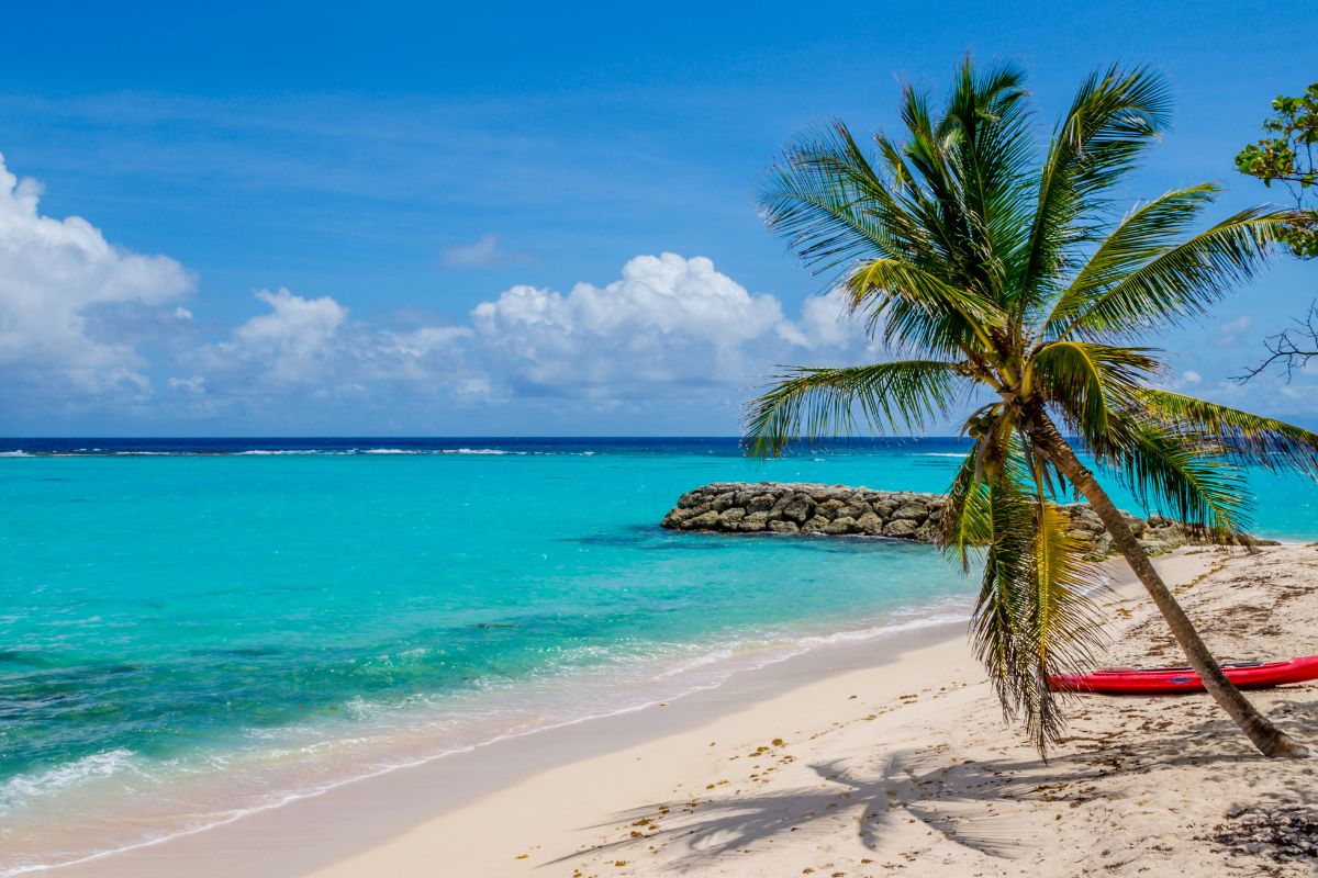 Martinique ou guadeloupe