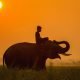 Namibie ou tanzanie