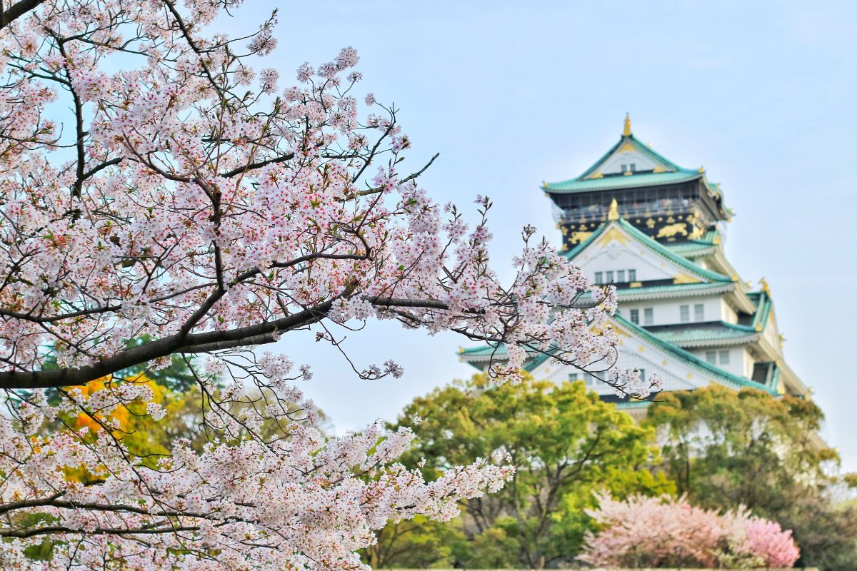 Sakura