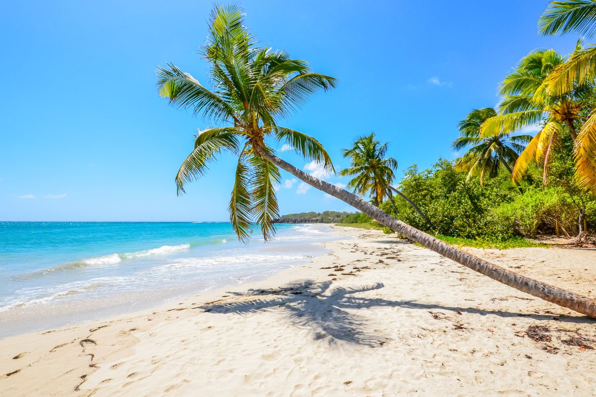 Les 9 meilleurs endroits pour loger en Martinique en 2025 Chéri fais tes valises
