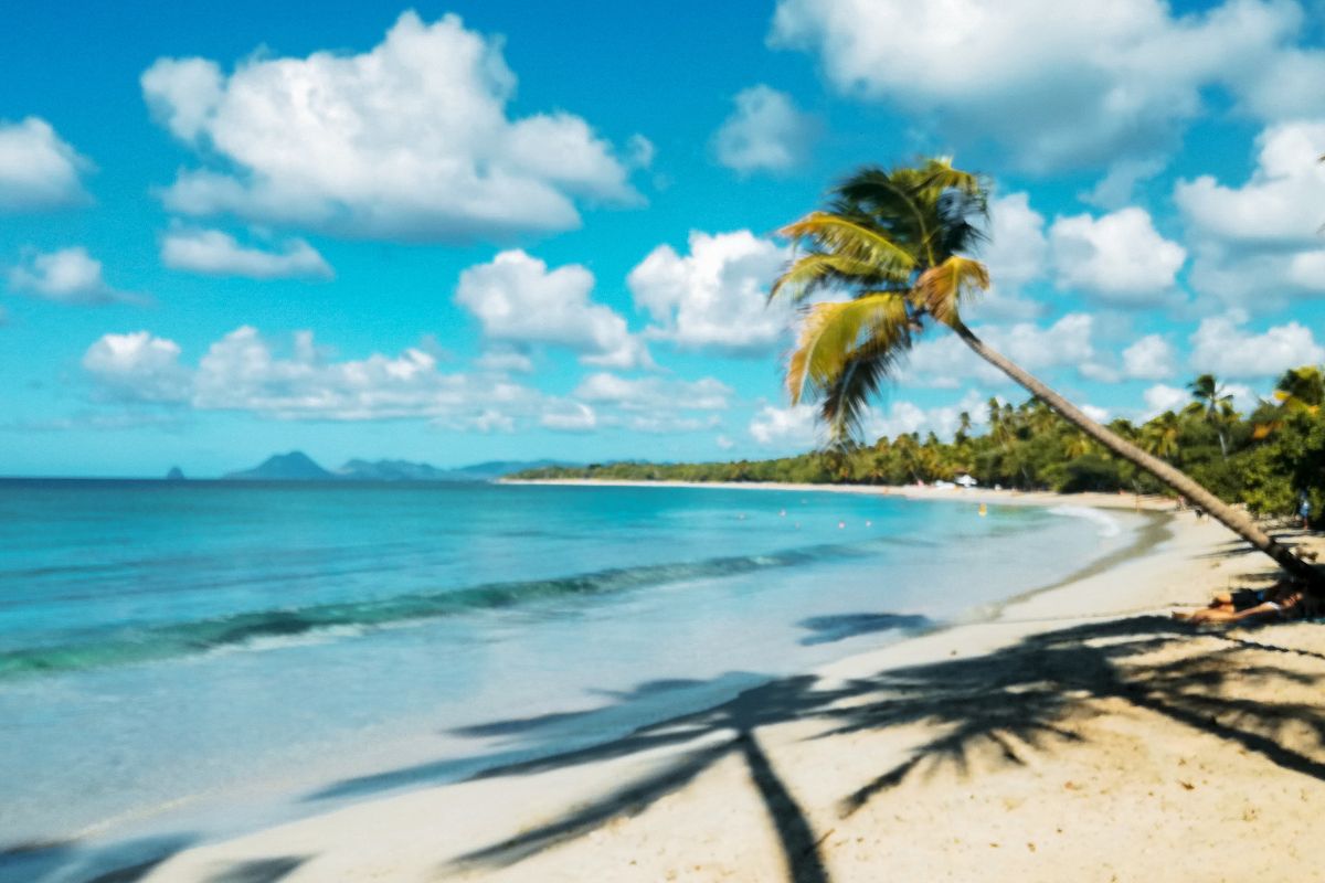 Les 9 meilleurs endroits pour loger en Martinique en 2025 Chéri fais tes valises