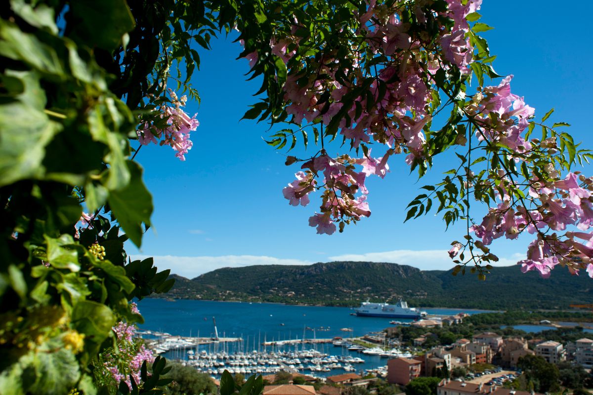 Porto Vecchio ou bonifacio