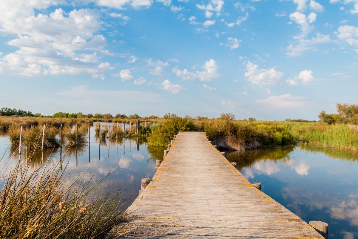 Ou dormir dans une manade en camargue