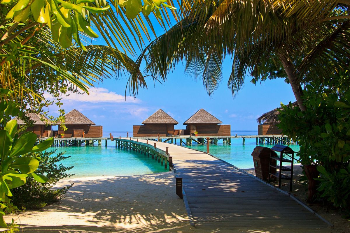 Comment aller aux maldives