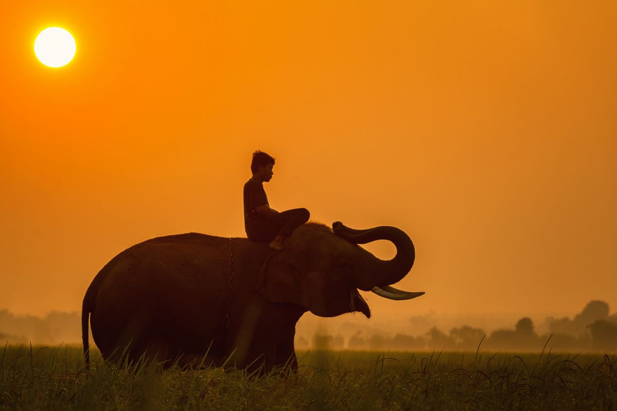 Voyage de noces en thailande ou aller