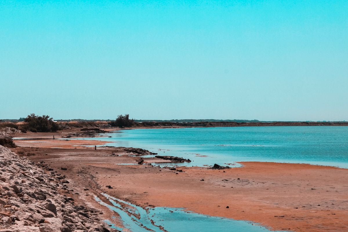 Ou dormir dans une manade en camargue