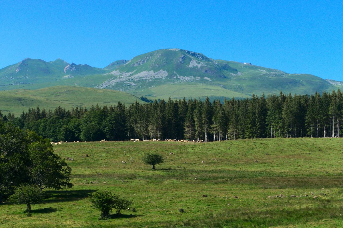 Auvergne en famille cet été