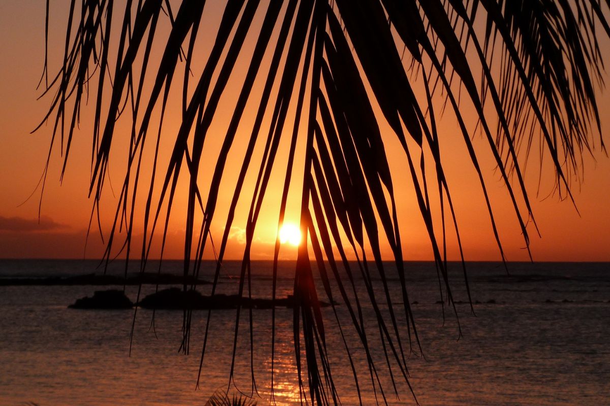 Île Maurice en Juillet Climats & Conseils pour organiser son voyage Chéri fais tes valises