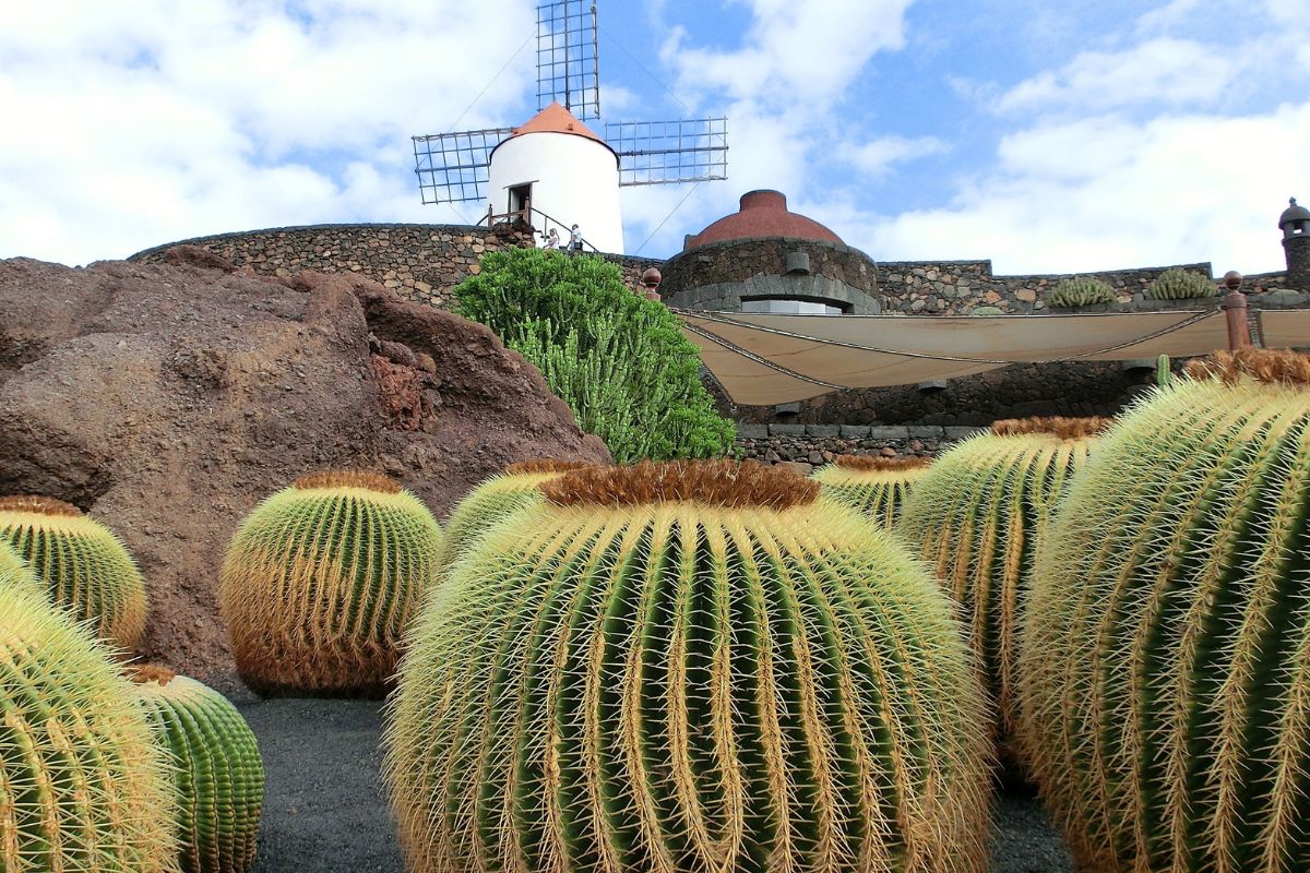 ville pour loger à lanzarote