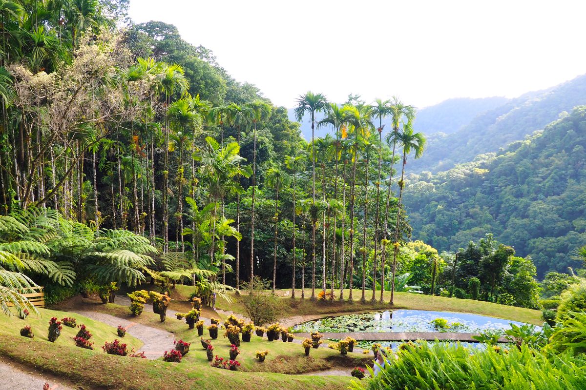 Ou loger en martinique ?