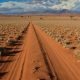 Road trip en afrique