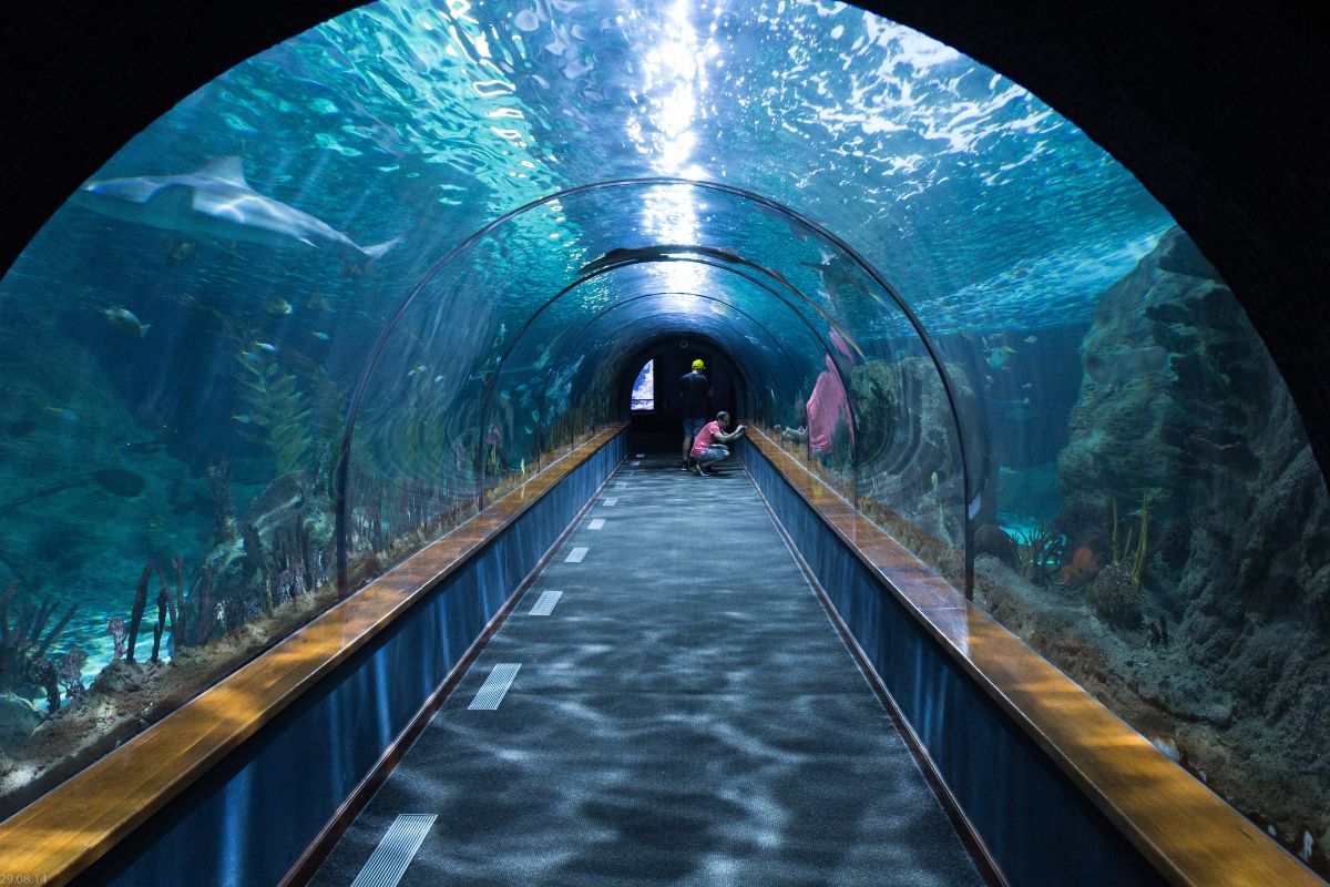 Aquarium Phuket