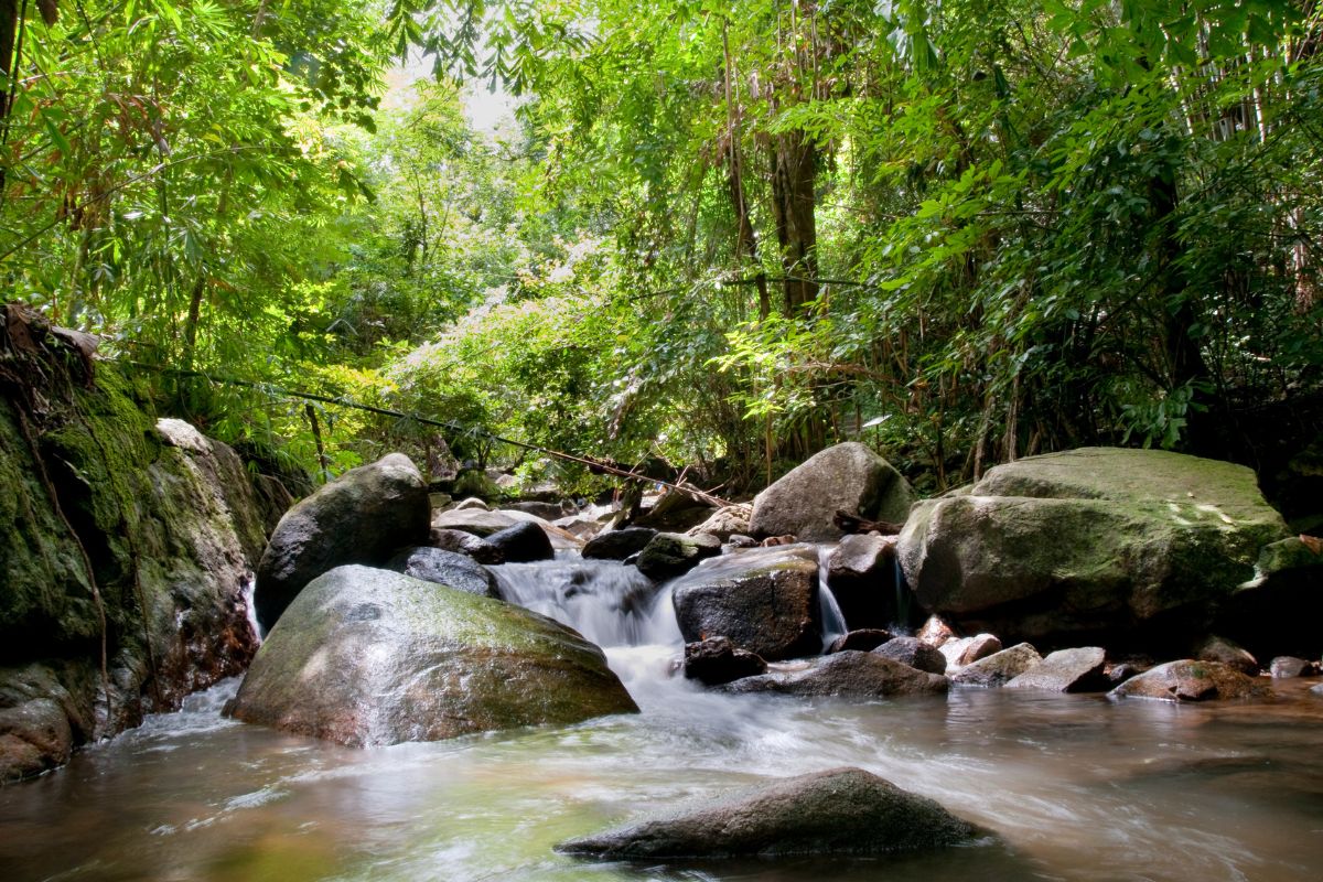 Cascade de Bang Pae