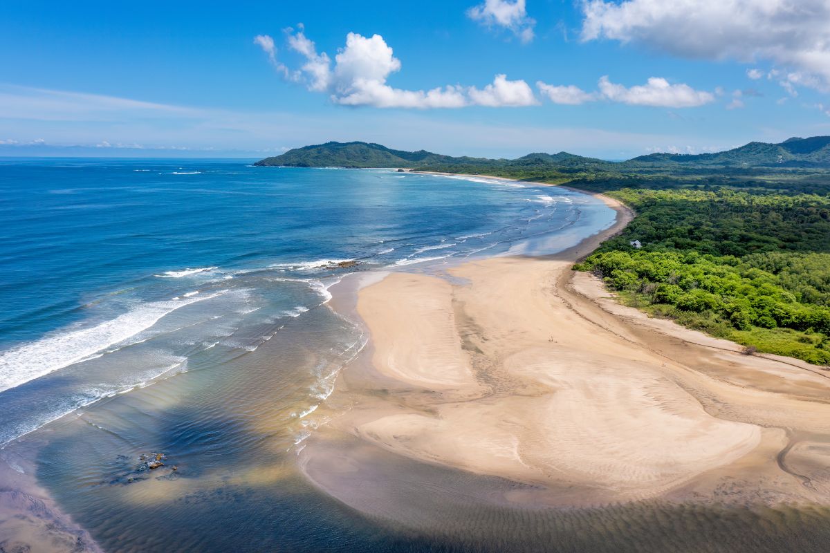 Tamarindo