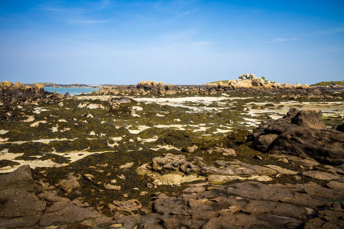 Combien de temps pour visiter les iles chausey