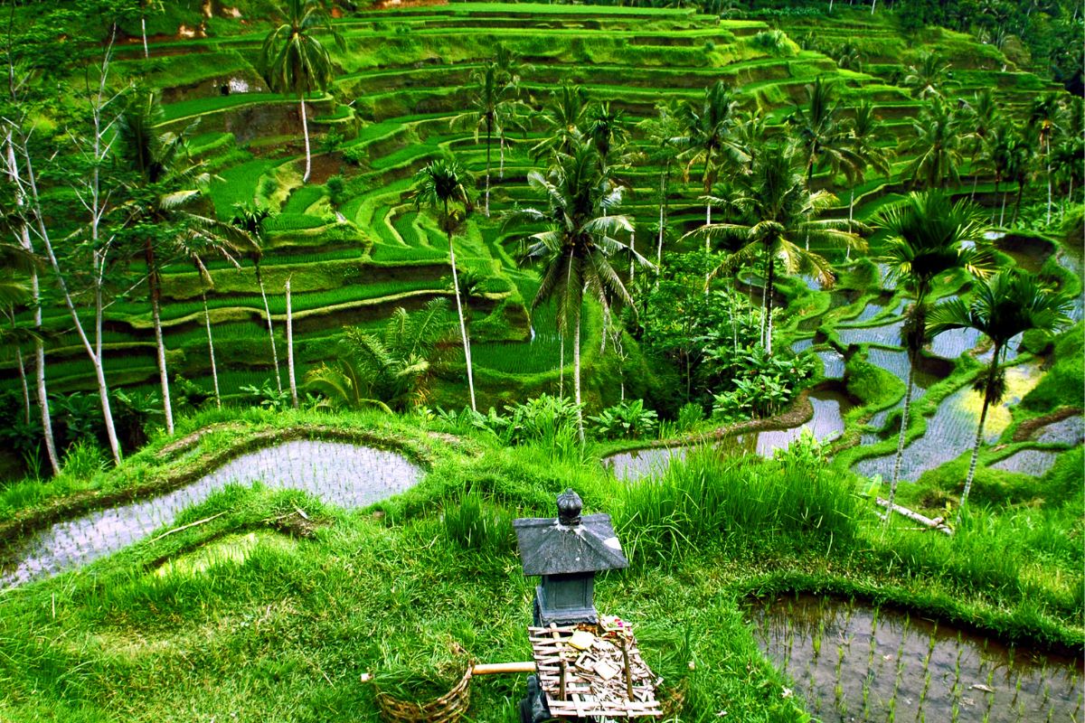 Combien de temps pour visiter Bali