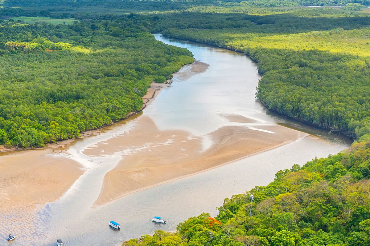 Tamarindo