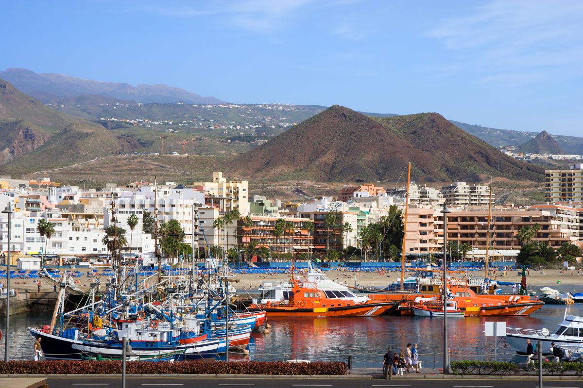 Canaries en famille