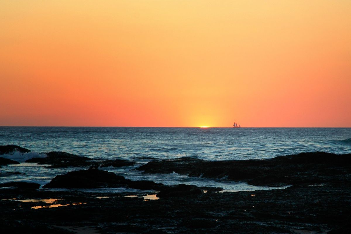 Tamarindo