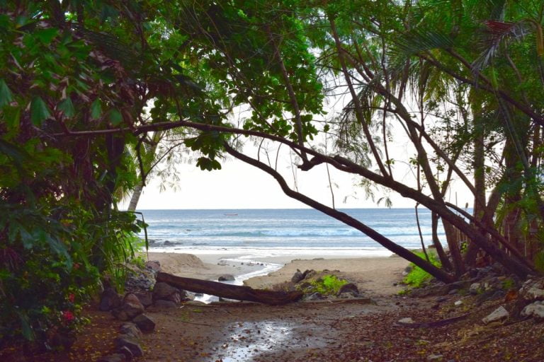 Tamarindo