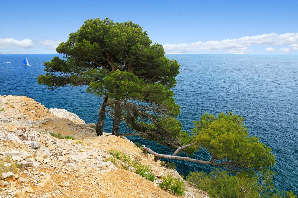 Marseille