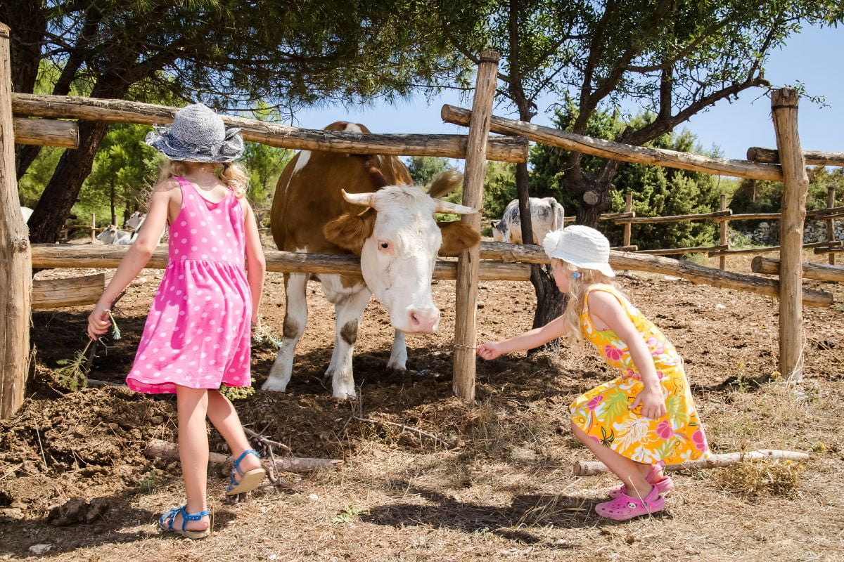 Sortie scolaire ferme enfants