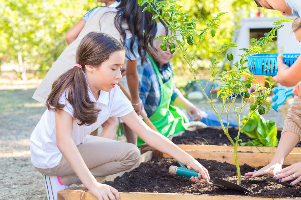 jardinage pedagogique