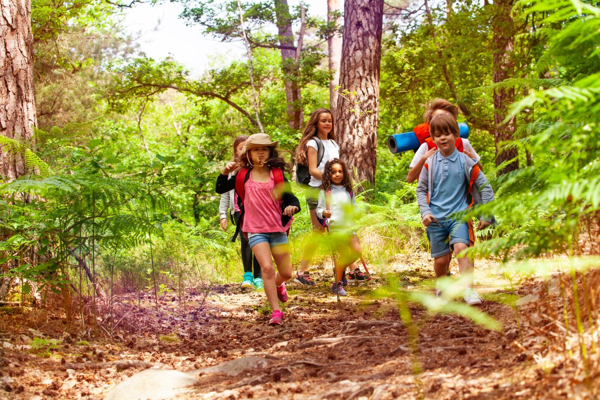 Sortie scolaire parc national