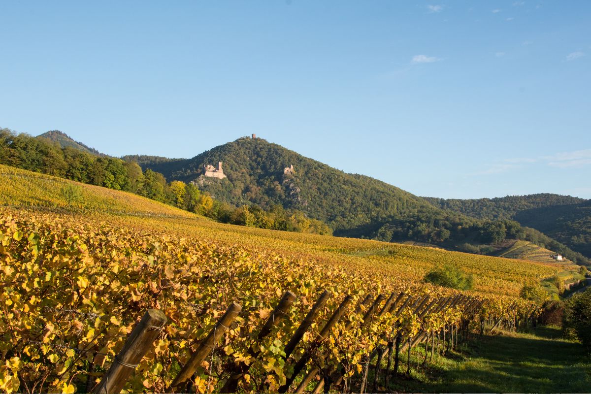 Sentier préférés des Français