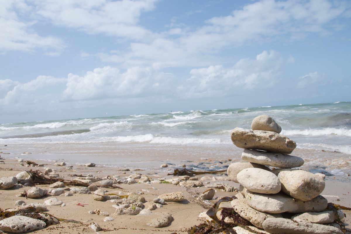 Les 4 îles incontournables de Charente-Maritime : Ré, Oléron, Aix et Madame 🏝️