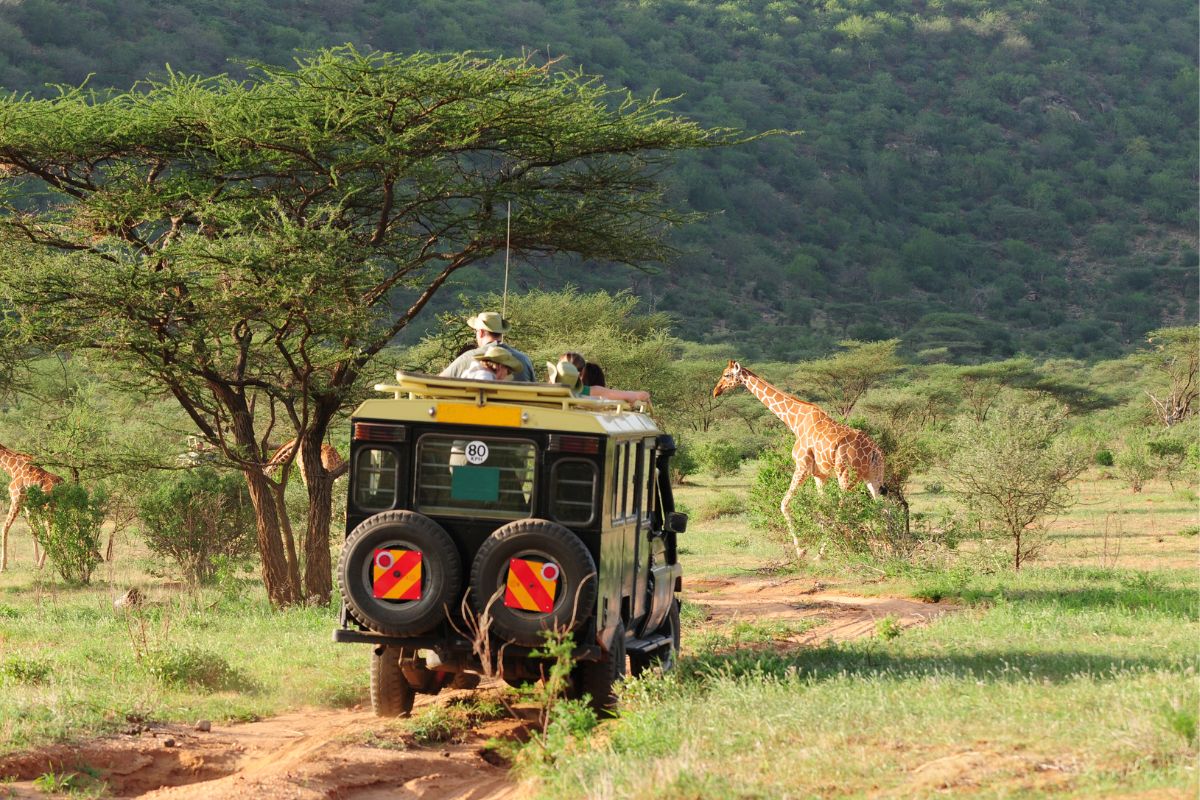 meilleur lodge safari kenya