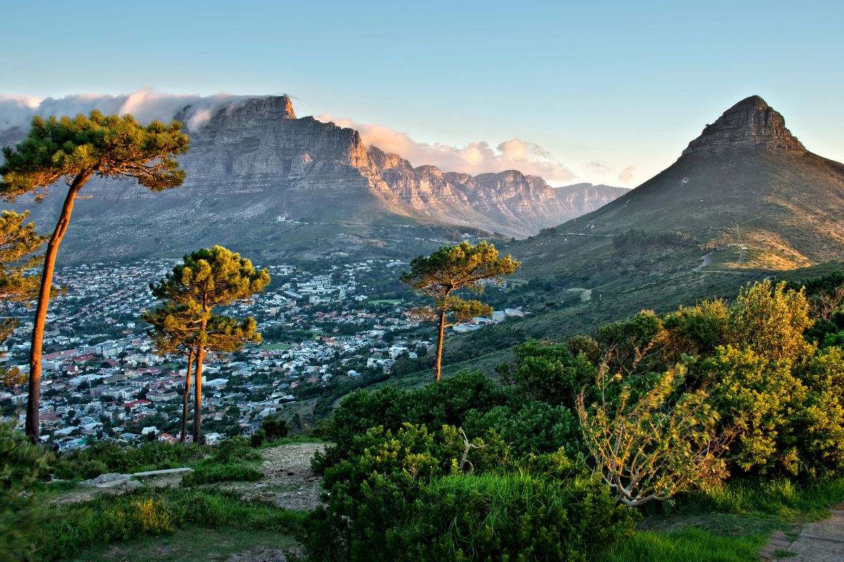 Prix voyage afrique du sud