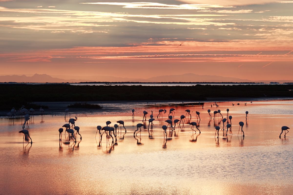 destination nature en France