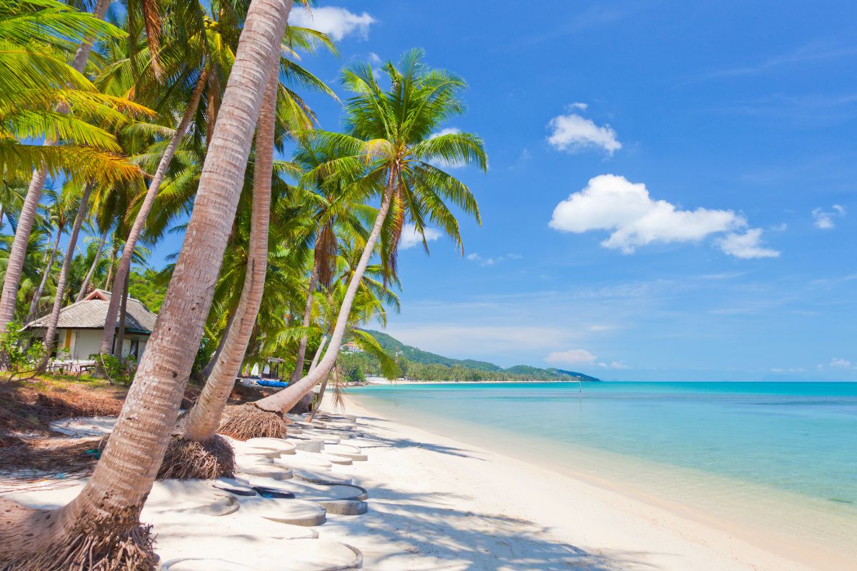 Quand partir à Koh Samui