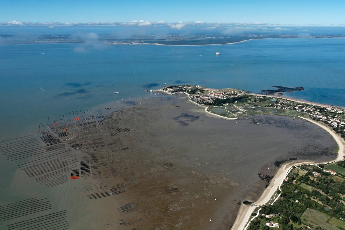 Les 4 îles incontournables de Charente-Maritime : Ré, Oléron, Aix et Madame 🏝️