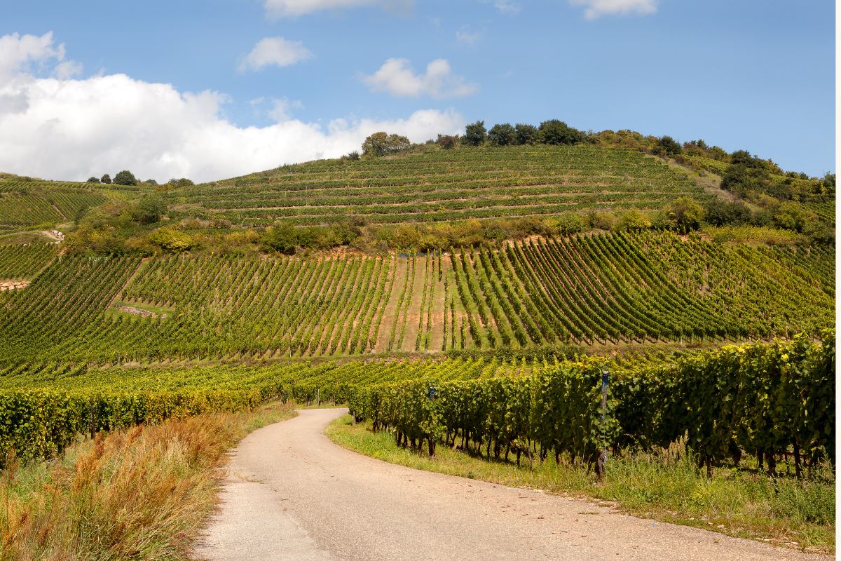 route panoramique en france