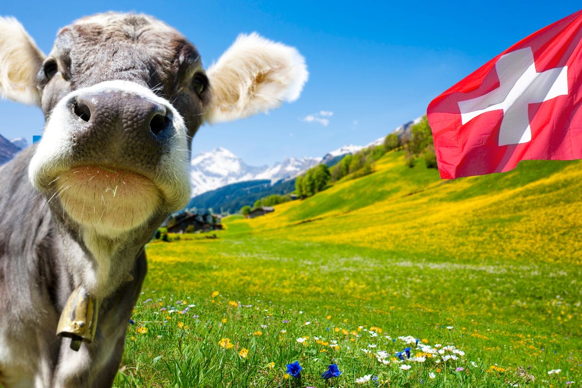 Vacances d’été en Suisse en 2024 : Le guide complet pour voyager !
