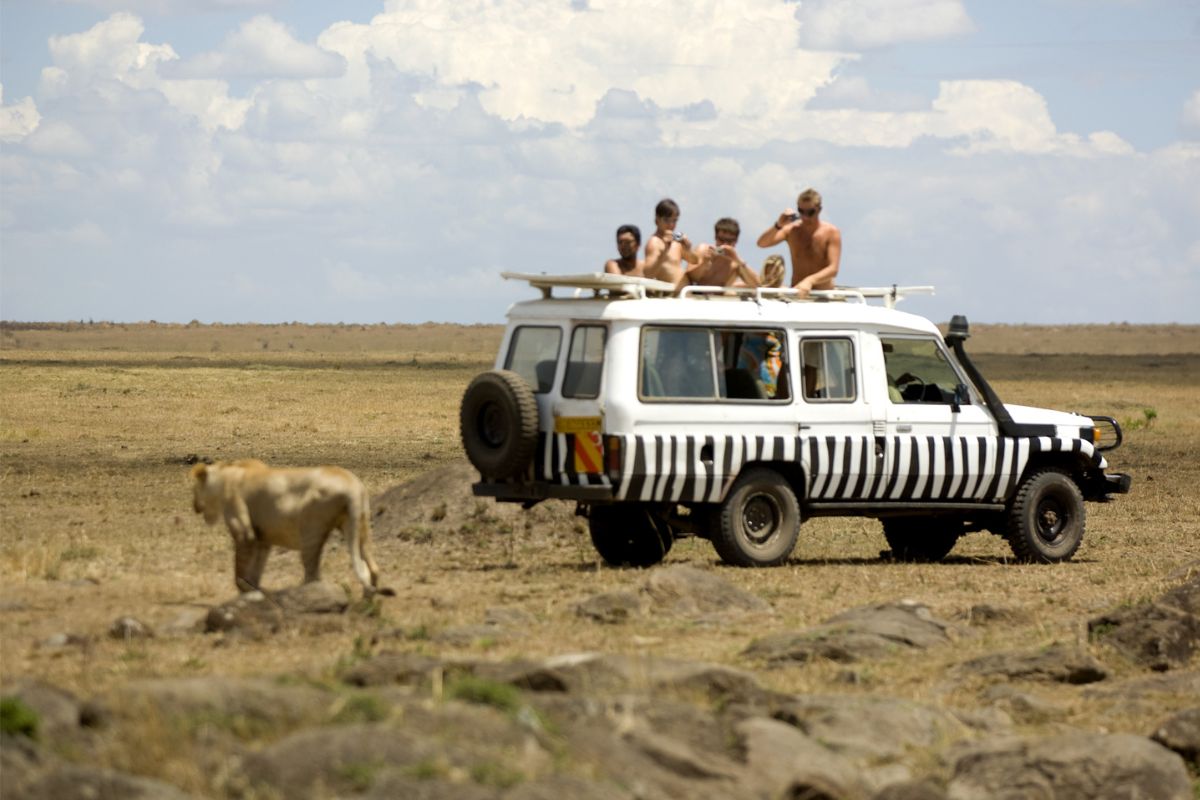 meilleur lodge safari kenya