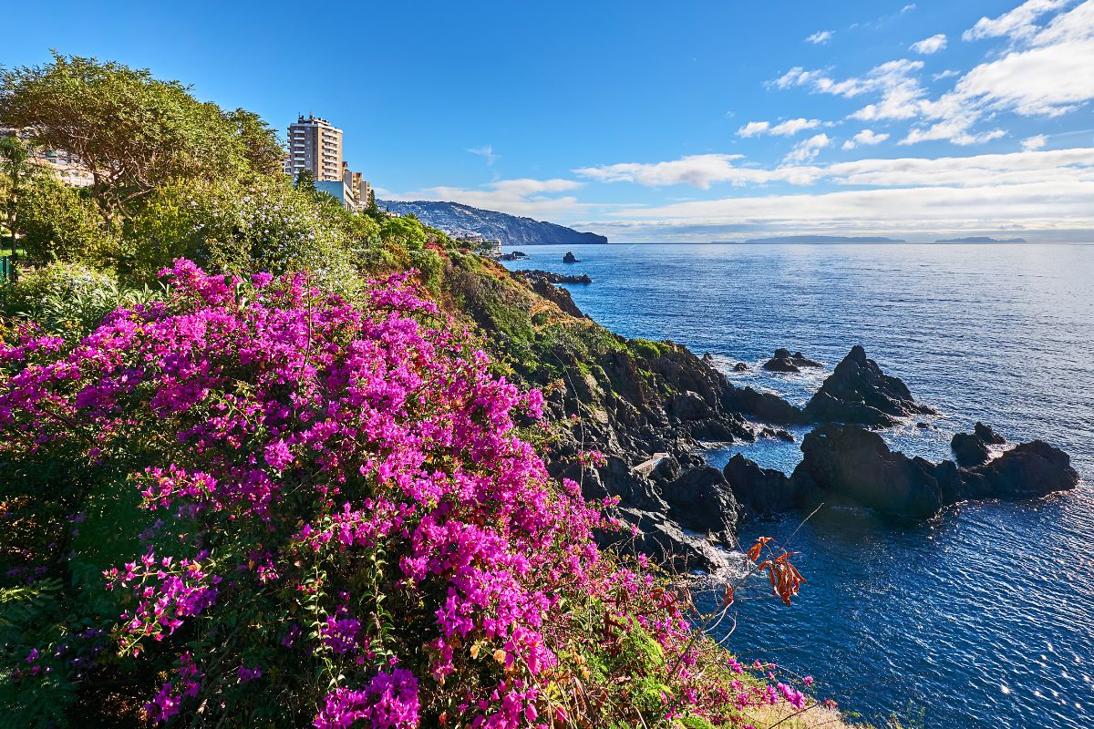 Plus belles îles du portugal