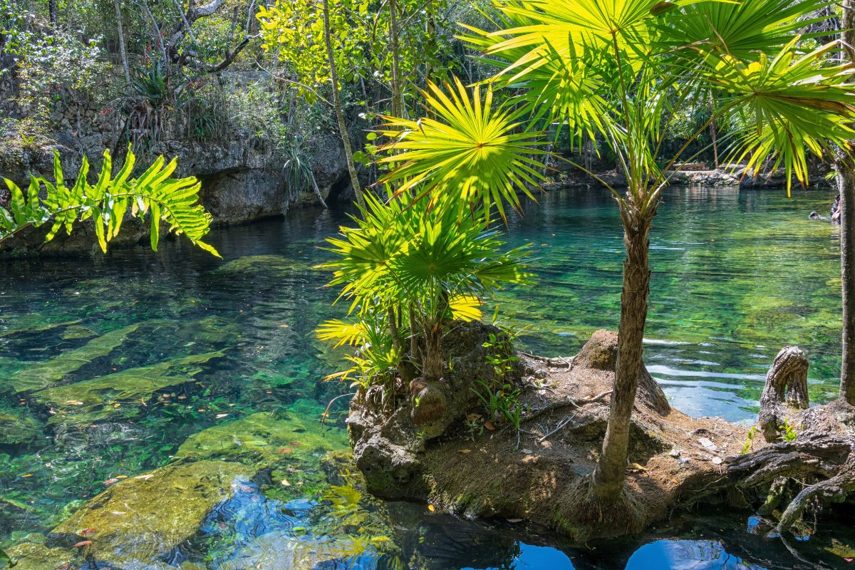 Quand partir au yucatan