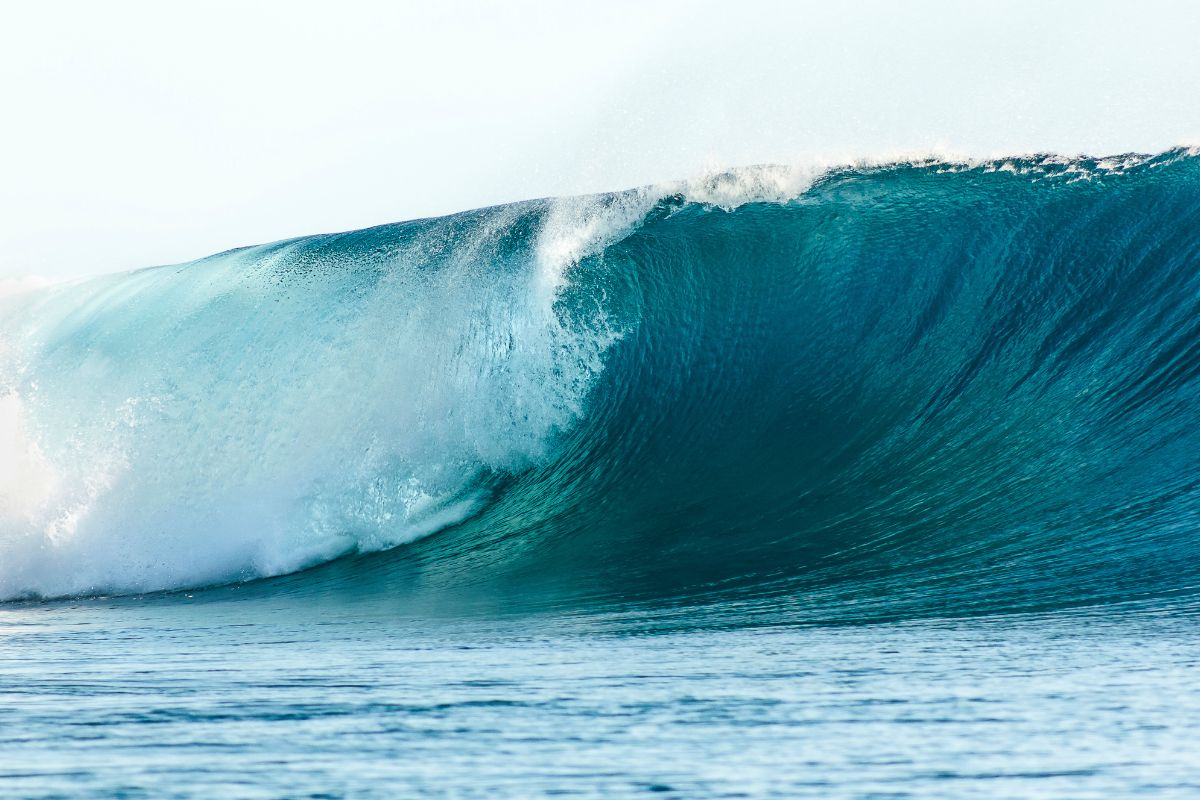 Les meilleures activités à faire à Tahiti pendant les JO